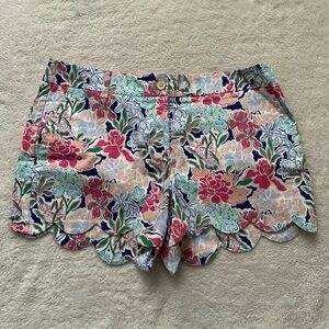 EUC Crown & Ivy size 12 Shelby shorts